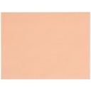 [912PS] 9x12" Peach Steak Paper Sheets